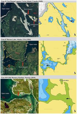 Natural Entrapments of Killer Whales (Orcinus orca): A Review of Cases and Assessment of Intervention Techniques